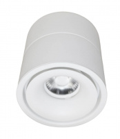 Накладной светильник Lumina Deco Westos LDC 8056-GYN-12WCOB D80*H100 WT