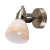Спот Tulip A9581AP-1AB Спот Tulip A9581AP-1AB