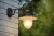 Настенный фонарь уличный Aruba 11871/01/97